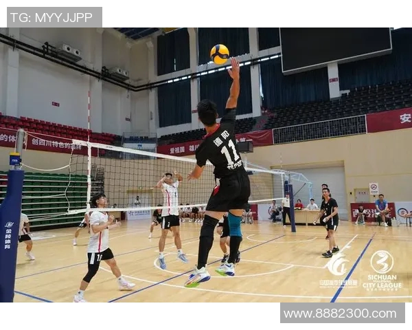 专业解读：成都排球队的运营打法
